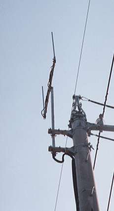 Y�^�A���e�i