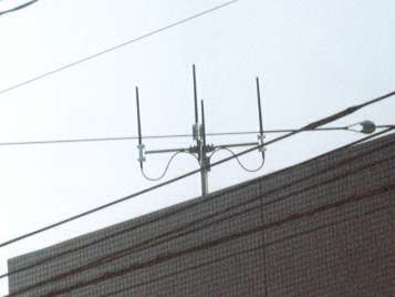 D�|���ǂ��A���e�i